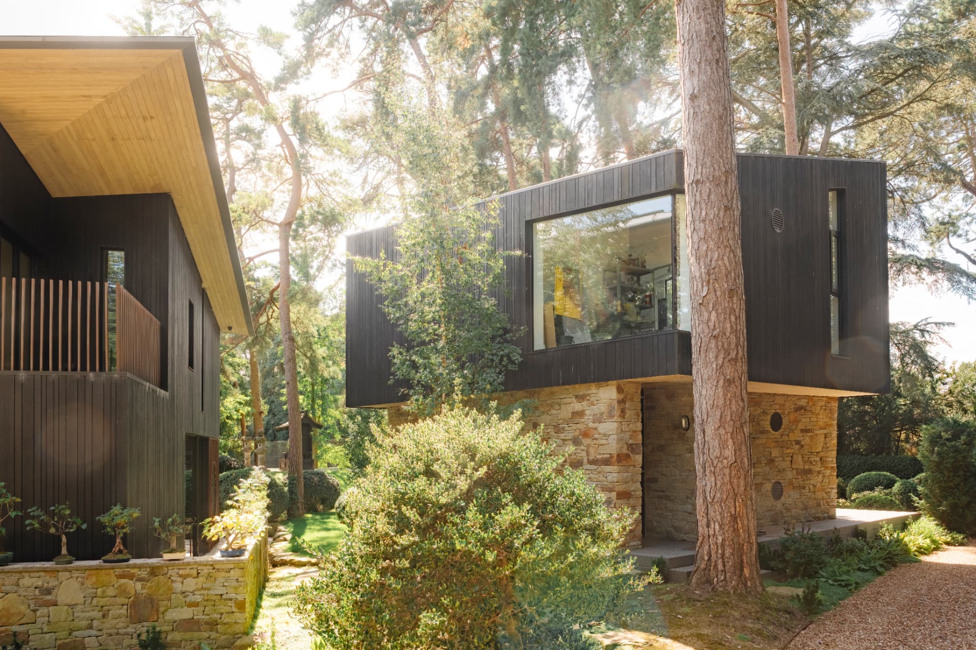 A dark timber-clad upper storey cantilevered between tall pine trunks above a stone-clad base, with planting and bonsai on the terrace below